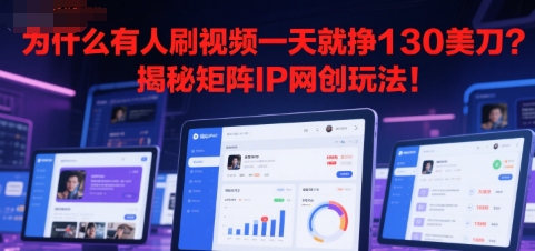为什么有人刷视频一天就挣130美刀？揭秘矩阵IP网创玩法!_菜菜笔记