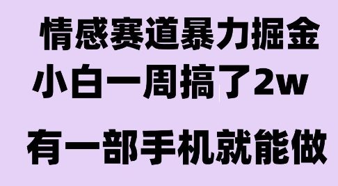 情感暴力掘金项目，新人操作一周挣了2W，长期稳定小白可做【揭秘】_菜菜笔记
