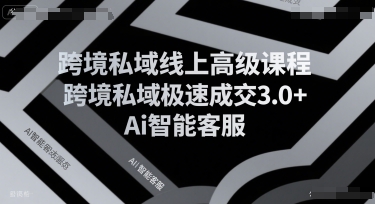 跨境私域线上高级课程，跨境私域极速成交3.0+Ai智能客服_菜菜笔记