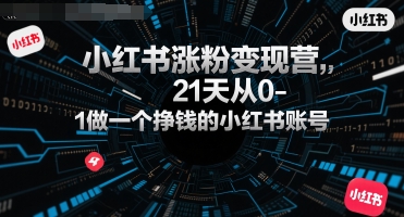 小红书涨粉变现营，21天从0-1做一个挣钱的小红书账号_菜菜笔记