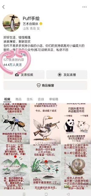 Puff手绘视频号分成项目，三天过分成计划，简单易上手，适合新手_菜菜笔记