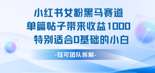 小红书女粉黑马赛道单篇帖子带来收益1k+，特别适合0基础的小白_菜菜笔记