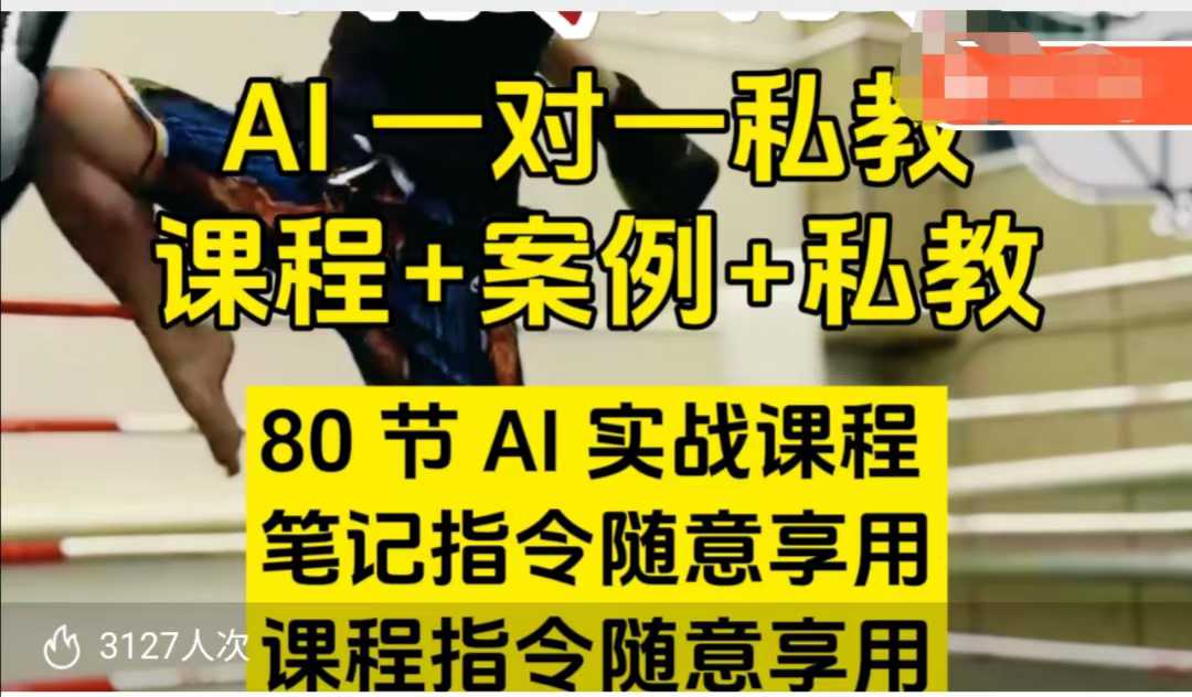 AI指令实战课，课程+案例，80节AI实战课程，笔记指令随意享用，课程指令随意享用（更新7月）_菜菜笔记