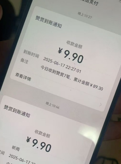 二次元男粉快速变现项目，私域卖虚拟产品，百分利润_菜菜笔记