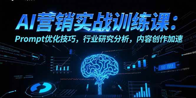 （15465期）AI营销实战训练课：Prompt优化技巧，行业研究分析，内容创作加速_菜菜笔记