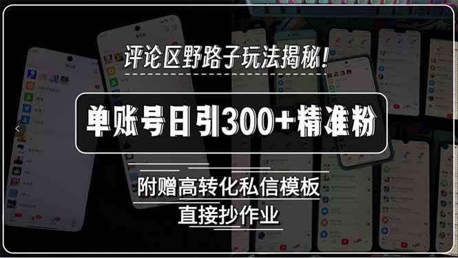 （15466期）评论区野路子玩法揭秘！单账号日引300+精准粉，附赠高转化私信模板，直…_菜菜笔记