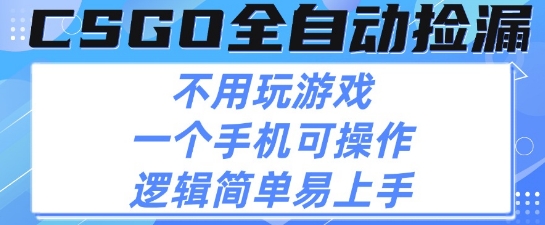 CSGO自动捡漏项目，最新独家玩法，不用挂G不用玩游戏，一个手机即可操作，新手小白轻松月入1W+【揭秘】_菜菜笔记