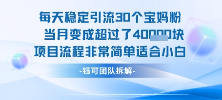 每天稳定引流30个人 当月变成超过了4个W项目流程非常简单适合小白_菜菜笔记