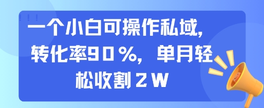 一个小白可操作私域，转化率90%，单月轻松收割2W_菜菜笔记