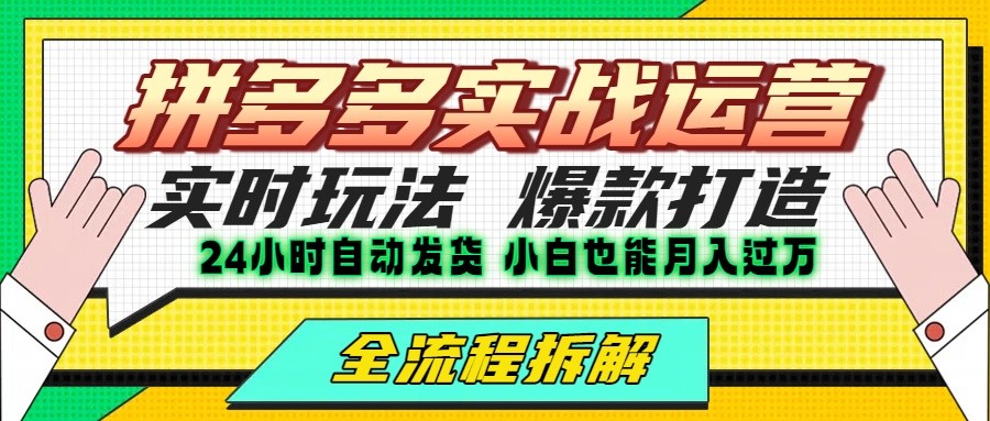 拼多多最新实战运营高投产：长久稳定项目，单店利润一天三位数_菜菜笔记