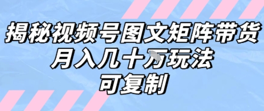 解密视频号图文矩阵带货，月入几个W的打法，可复制_菜菜笔记
