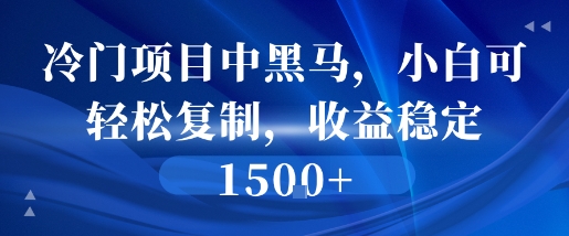 冷门项目中黑马，小白可轻松复制，收益稳定1.5k_菜菜笔记