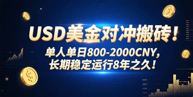 （15551期）USD美金对冲搬砖!单人单日800-2000CNY，长期稳定运行8年之久!_菜菜笔记