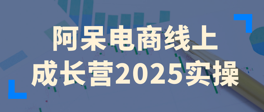阿呆电商线上成长营2025实操_菜菜笔记