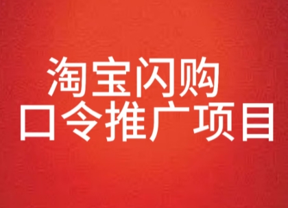 淘宝闪购口令推广项目，收益可观，一部手机，一个抖音号即可操作_菜菜笔记