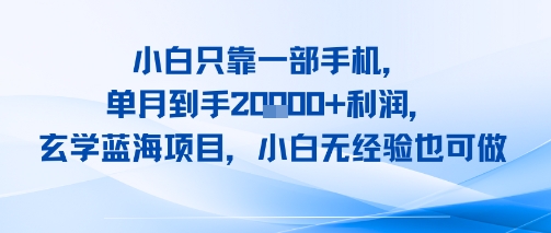 小白只靠一部手机，单月到手2W+利润，玄学蓝海项目，小白无经验也可做_菜菜笔记