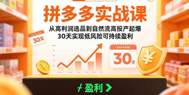 （15586期）拼多多实战课：从高利润选品到自然流高投产起爆 30天实现低风险可持续盈利_菜菜笔记