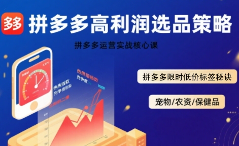 拼多多选品暴利技术实战课，拼多多高利润选品策略，拼多多限时低价标签秘诀_菜菜笔记