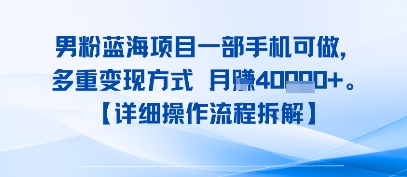 8月新男粉蓝海项目一部手机可做，多重变现方式 月入4W+【详细操作流程拆解】_菜菜笔记
