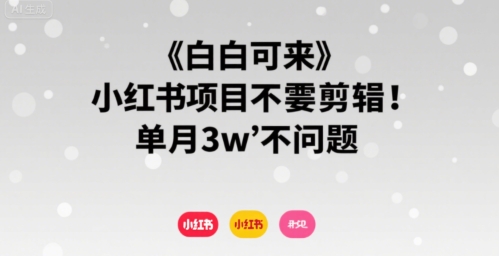 小白可来 小红书项目不需要剪辑 单月3w不是问题_菜菜笔记