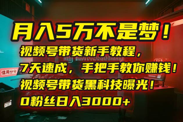 （15595期）月入5万不是梦！视频号带货新手教程，7天速成，手把手教你赚钱！视频号…_菜菜笔记