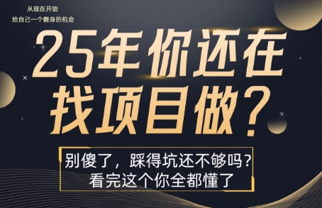 25年，你还在疯狂的找项目吗？别傻了，看完这个你都懂了【揭秘】_菜菜笔记