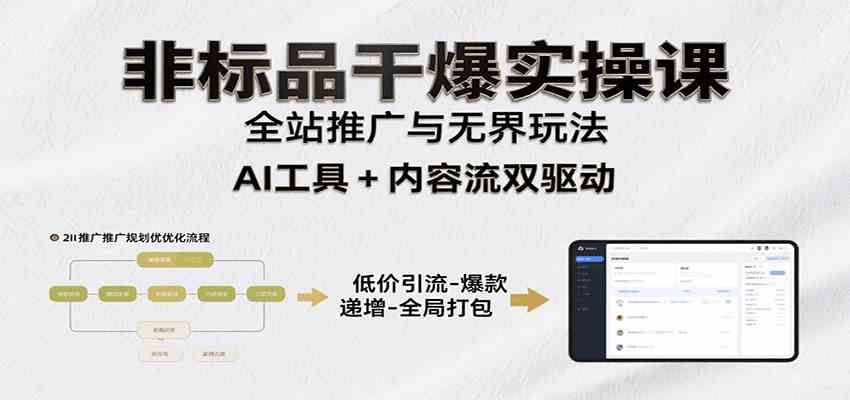 非标品干爆实操课：含多案例及操盘方法，从选品到推广、成交，助力打造爆款实现盈利_菜菜笔记