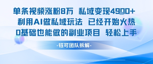 单条视频私域变现4.9k+利用AI做私域玩法 已经开始火热0基础也能做的副业项目轻松上手_菜菜笔记