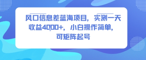 风口信息差蓝海项目，实测一天收益4k+，小白操作简单，可矩阵起号_菜菜笔记