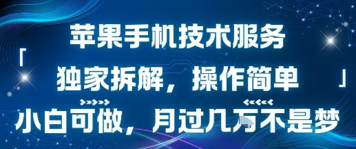 苹果手机技术服务，独家拆解，操作简单，小白可做，月过1W不是梦_菜菜笔记