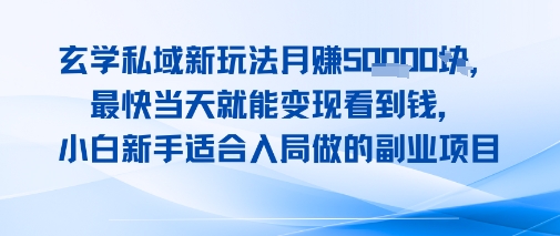玄学私域新玩法月入1W+，最快当天就能变现看到米，小白新手适合入局做的副业项目_菜菜笔记