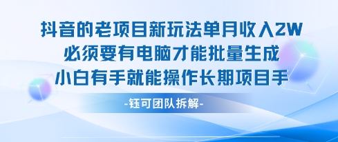 老项目新玩法单月收入2W小白有手就能操作长期项目_菜菜笔记