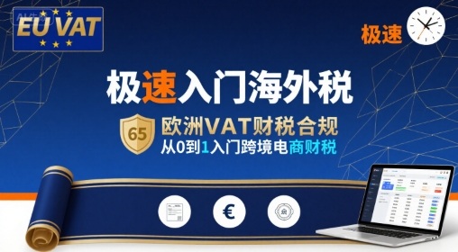 极速入门海外税，欧洲VAT财税合规，从0到1入门跨境电商财税_菜菜笔记
