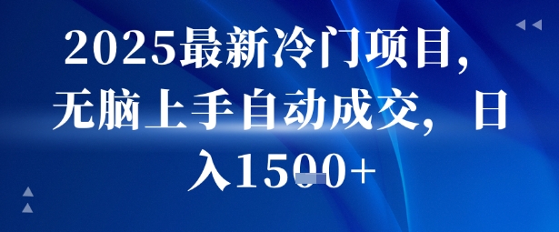 2025最新冷门项目，无脑上手自动成交，日入多张_菜菜笔记