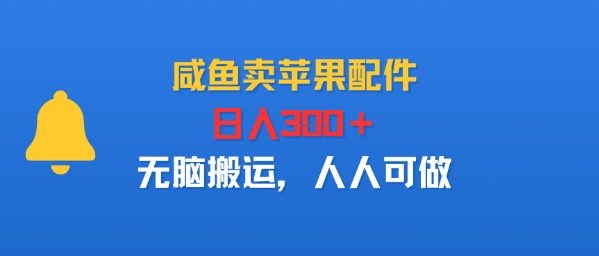 咸鱼卖苹果配件，日入3张+，无脑搬运，人人可做_菜菜笔记