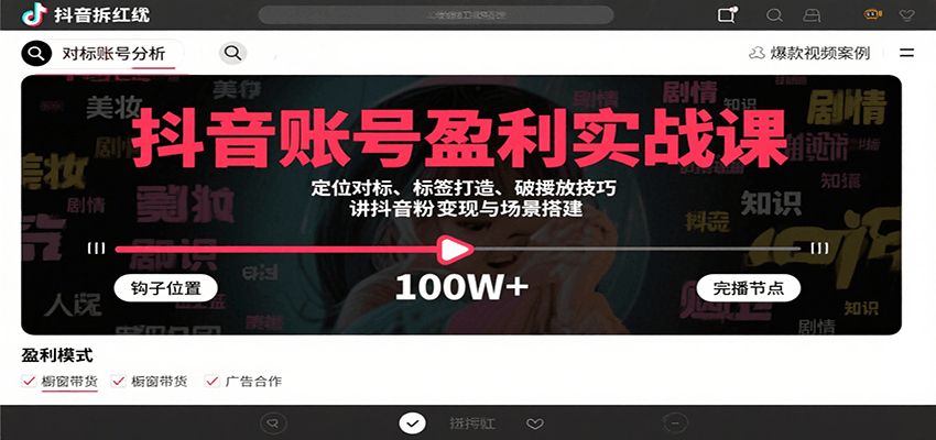 抖音账号盈利实战课，定位对标、标签打造、破播放技巧，讲涨粉变现与场景搭建_菜菜笔记