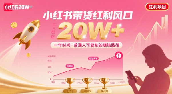 一年时间靠小红书带货项目年入20w+，最不能错的大红利项目_菜菜笔记
