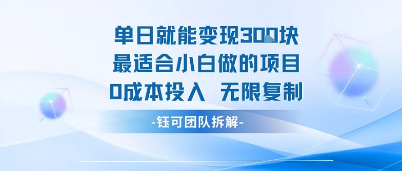 单日就能变现3张最适合小白做的项目0成本投入 无限复制_菜菜笔记