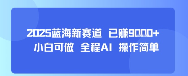 2025蓝海新赛道 已挣9k+ 小白可做 全程AI 操作简单_菜菜笔记