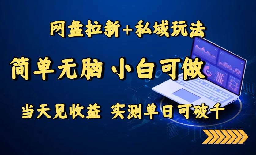 （15744期）网盘拉新+私域玩法，简单无脑，小白可做，当天见收益，实测单日可破千_菜菜笔记
