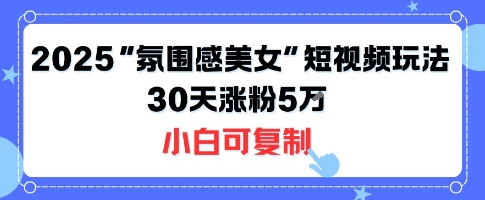 不露脸也能火！2025“氛围感美女”短视频玩法，30天涨粉5W小白可复制_菜菜笔记