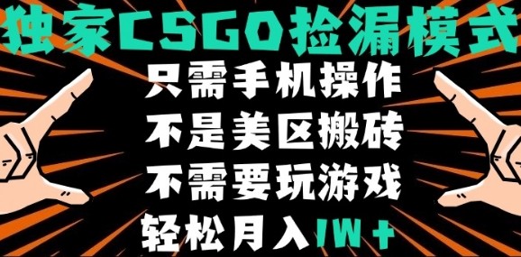 CSGO自动捡漏项目，最新独家玩法，不是美区搬砖，不需要了解和玩游戏，新手小白轻松月入1W+【揭秘】_菜菜笔记