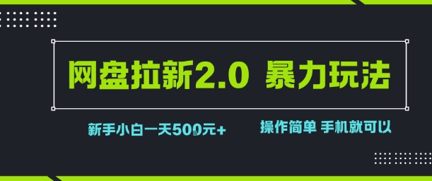 网盘拉新2.0暴力玩法，新手小白一天轻松5张，操作简单_菜菜笔记