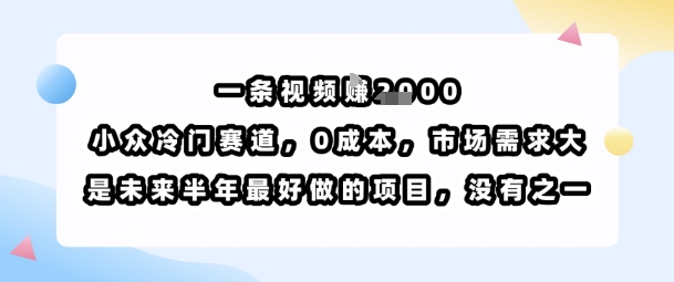一条视频挣1k，小众冷门赛道，0成本，市场需求大，是未来半年最好做的项目，没有之一_菜菜笔记