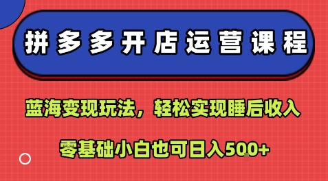 拼多多开店运营课程：蓝海变现玩法，轻松实现睡后收入，零基础小白也可日入5张_菜菜笔记