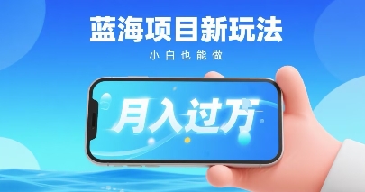小红书蓝海项目新玩法，一部手机即可月入过W，推荐小白做非常简单认可度超高_菜菜笔记