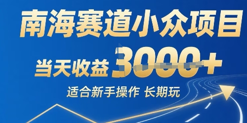 南海赛道小众项目，当天收益1k+适合新手操作可以长期玩_菜菜笔记