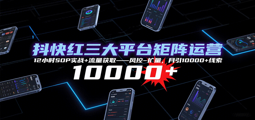 抖快红三大平台矩阵运营，12小时SOP实战+流量获取-风控-扩量，月引10000+线索_菜菜笔记