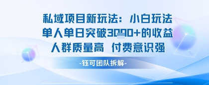 私域项目新玩法小白玩法单人单日突破1k的收益人群质量高付费意识强_菜菜笔记