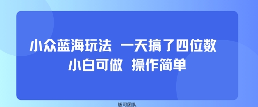 小众蓝海玩法 一天搞了四位数 小白可做 操作简单_菜菜笔记